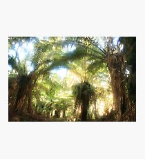 ...restful Photographic Print