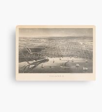 Lámina metálica Mapa Pictórico Vintage de Toledo OH (1860)