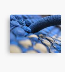 Thomething Thongy 2 Canvas Print
