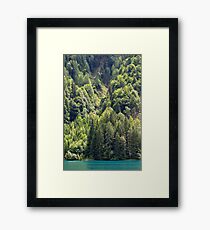 Green Framed Print