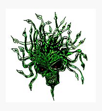 herbaceous head Photographic Print