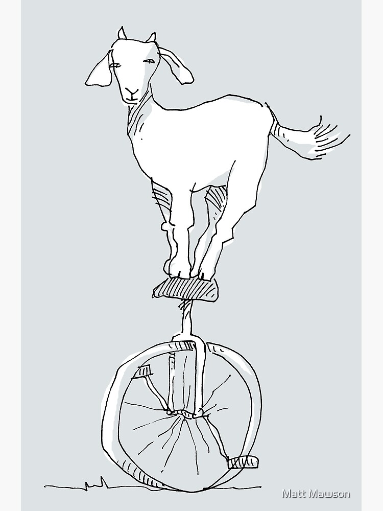 Goat on a unicycle by mmawson