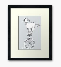 Goat on a unicycle Framed Print