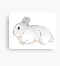 Czech Frosty Metal Print