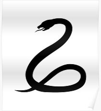 Snake Poster