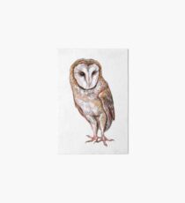 Barn owl drawing Art Board