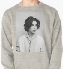 Timothee Chalamet Pullover