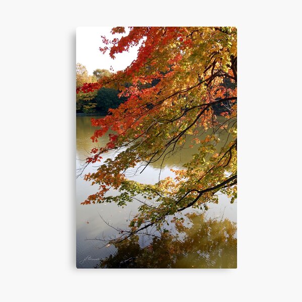 Fall Fashion Canvas Print