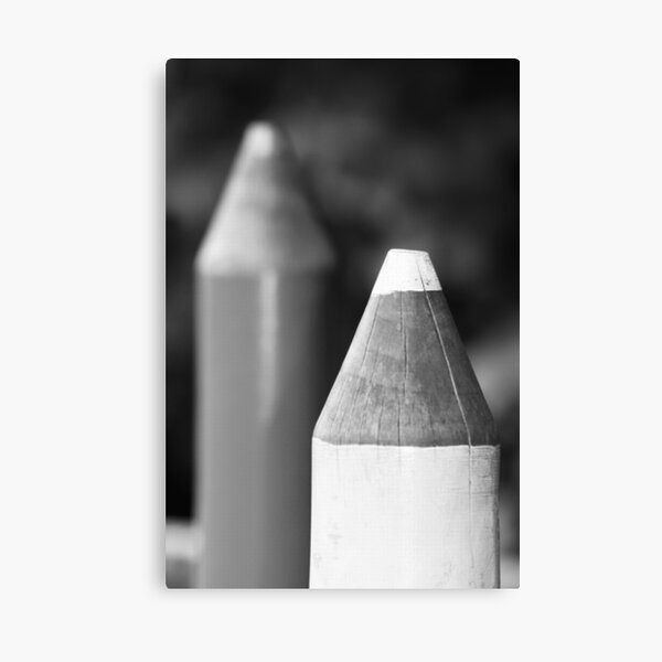 Black & White Pencils Canvas Print