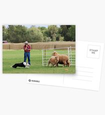 Kite Postcards