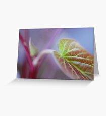 Ipomoea Greeting Card