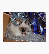 Precious cargo Photographic Print