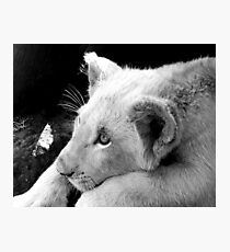 Prince Azlan Photographic Print