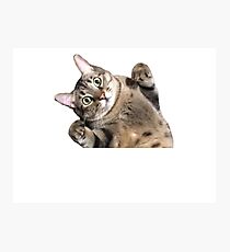 Winnie Photographic Print