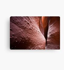 Spooky Curves and Lines, Grand Staircase Escalante, Utah Canvas Print