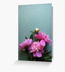 pink peony blooms on green background Greeting Card