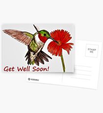 Humming Bird - Get Well Soon Card Postcards
