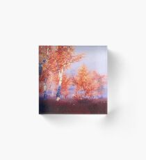 Wild Paradise Acrylic Block
