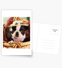 BOSTON EASTER BONNET Postcards