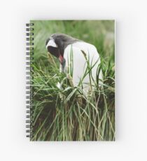 Gentoo In The Grass Spiral Notebook