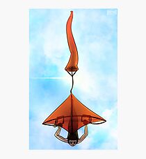 Kite Photographic Print