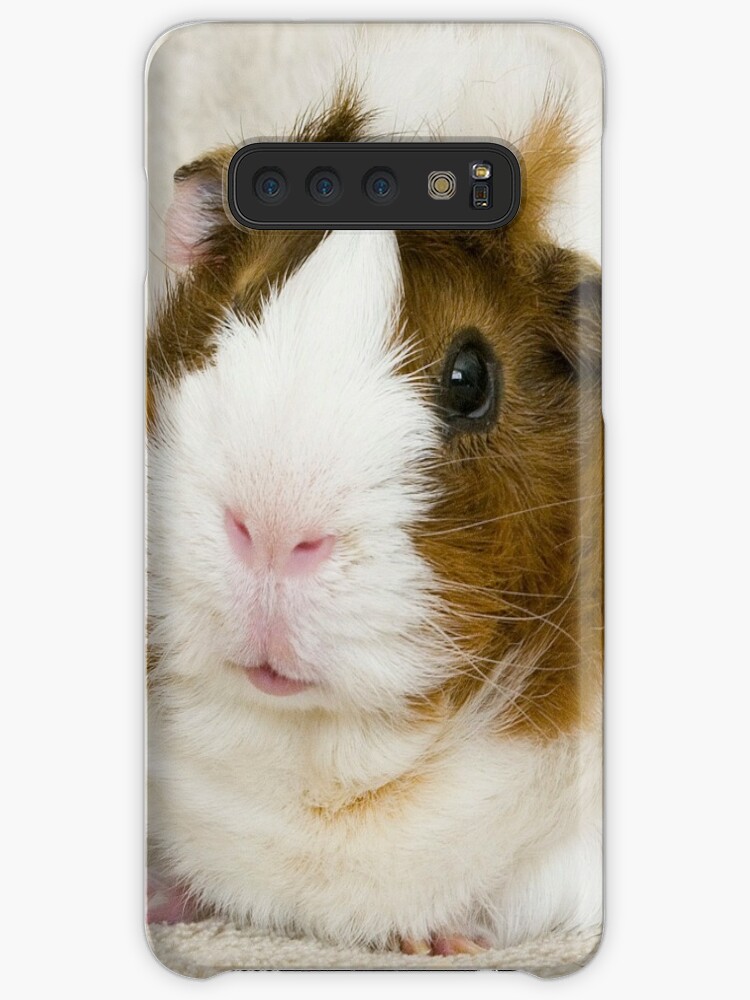 The Essential Guinea Pig Samsung S10 Case