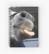 Cheeky! Spiral Notebook
