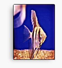 Poisson Canvas Print