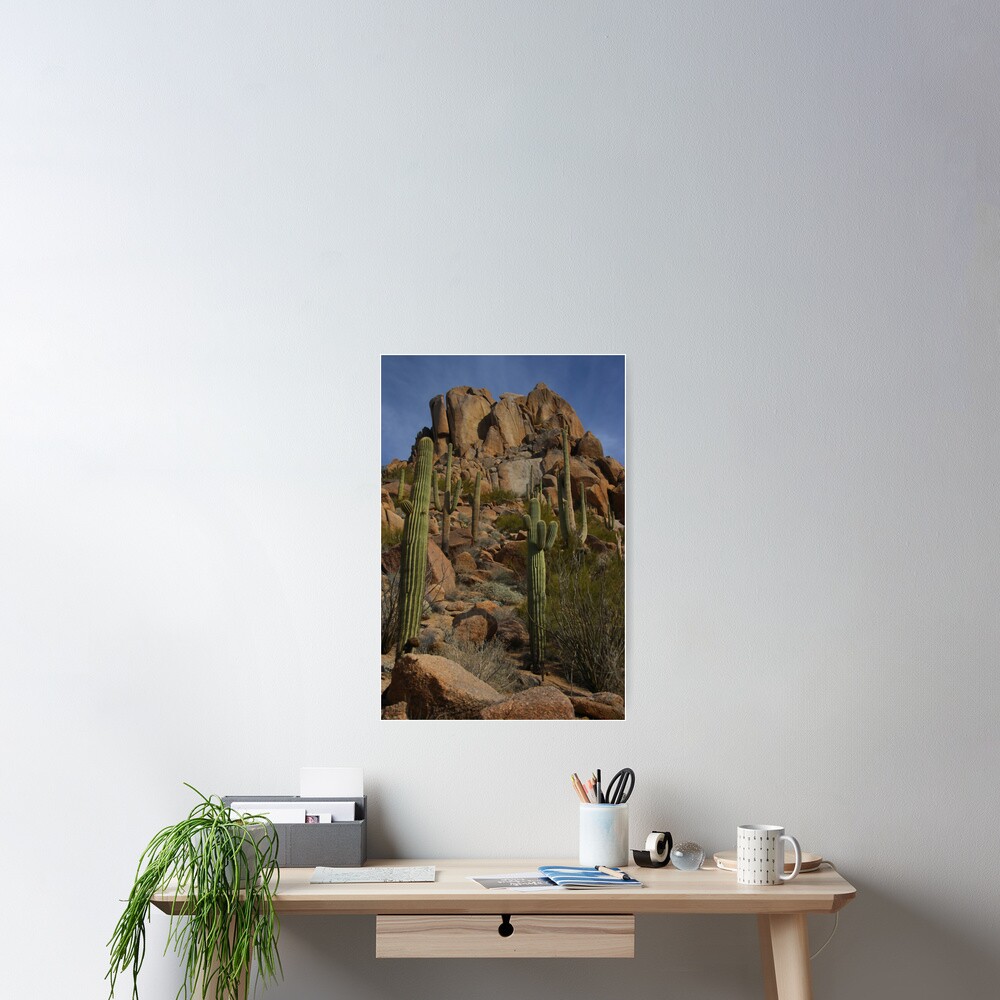 North Scottsdale - Pinnacle Peak - Arizona Poster