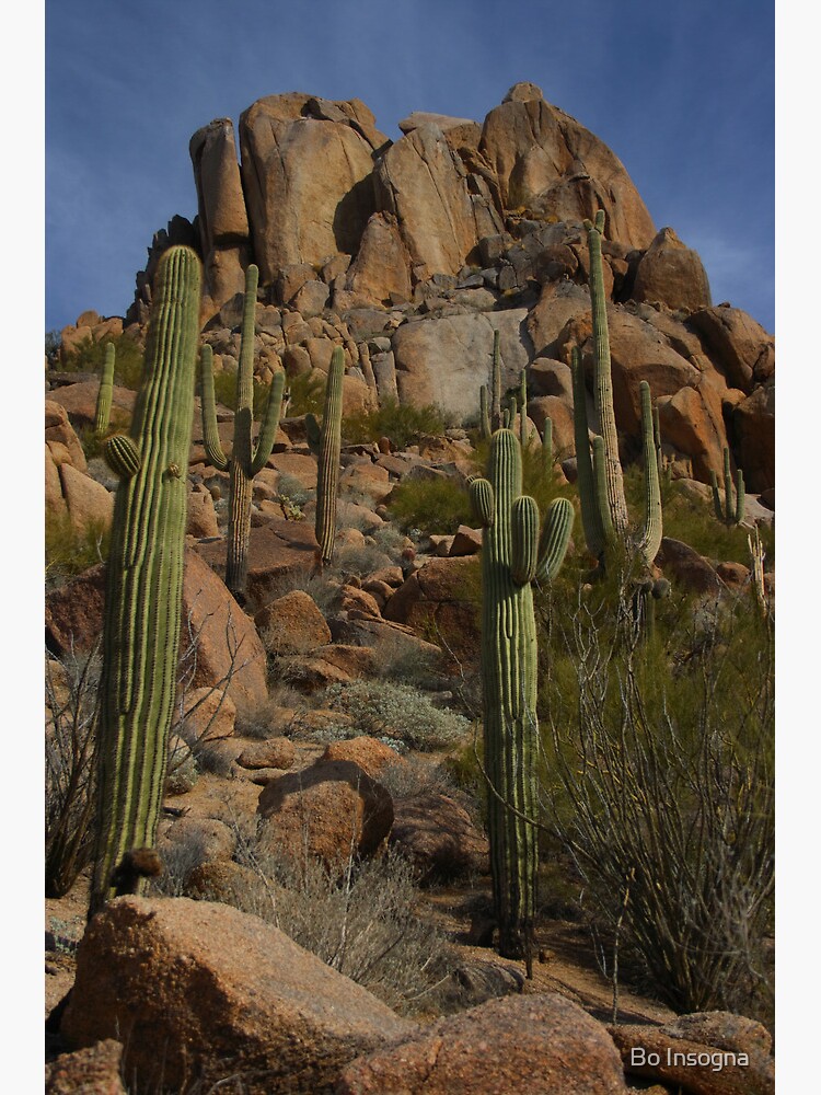 North Scottsdale - Pinnacle Peak - Arizona by mrbo