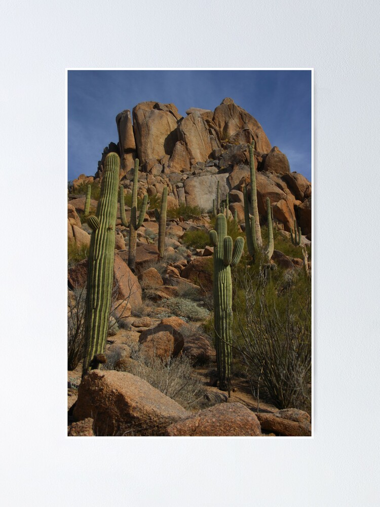 Alternate view of North Scottsdale - Pinnacle Peak - Arizona Poster
