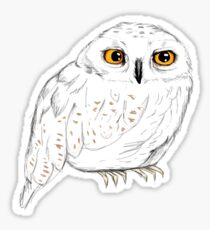 Harry Potter Owl: Stickers | Redbubble