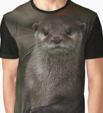 Curious Otter Graphic T-Shirt