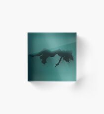 Aerith Sinking Prints Acrylic Block