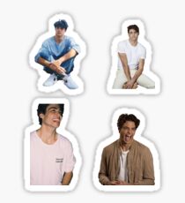 Noah Centineo- Collage Starter Pack Sticker