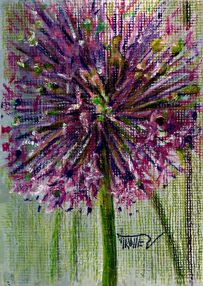 "Ilium,purple Globe flower" by jimmie Redbubble