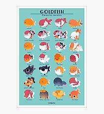 Goldfish Breed Poster Photographic Print