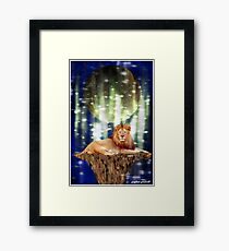 star lord Framed Print