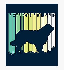 Cute Newfoundland Silhouette Photographic Print