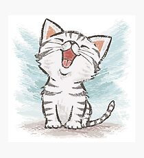 American Shorthair happy Photographic Print