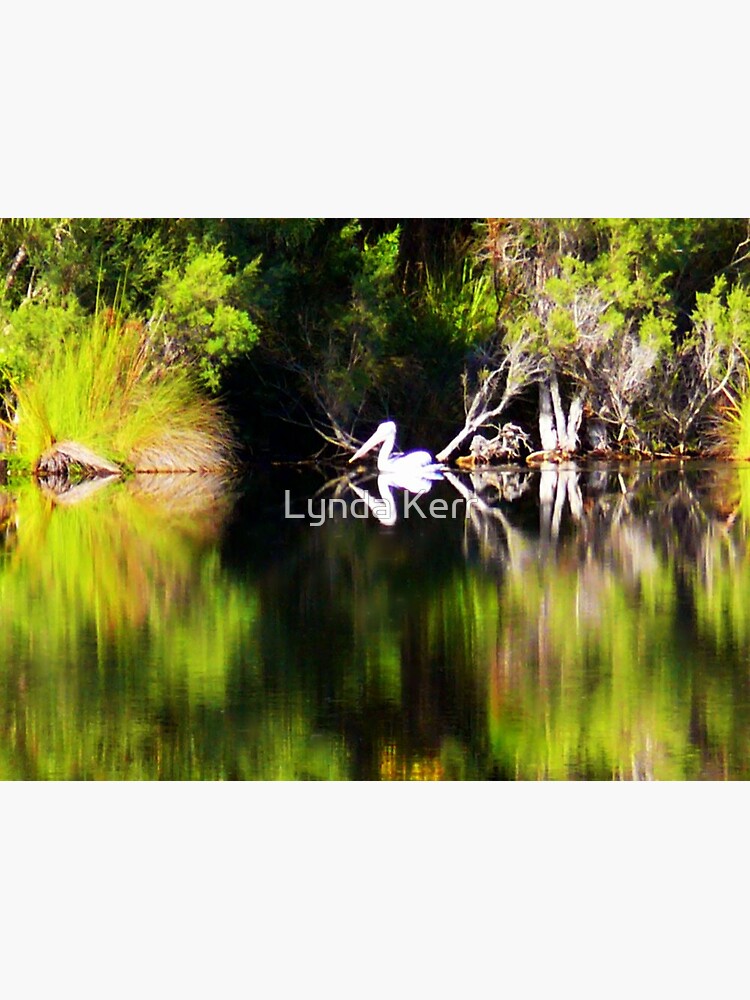 Pelican Dreamin' by 4sure