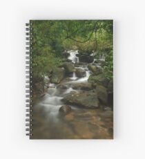Forest Stream Spiral Notebook