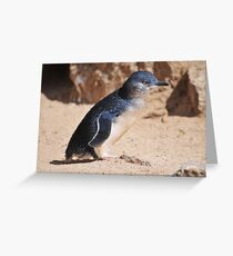 Fairy Penguin Greeting Card