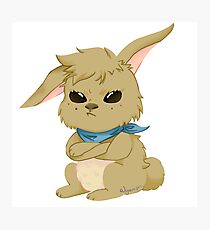 Hase Fotodruck