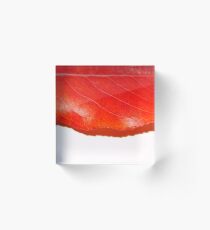 Big Red Leaf Acrylic Block