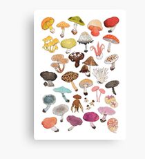 Mushroom Medley Canvas Print