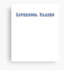 Liverpool Plains Canvas Print