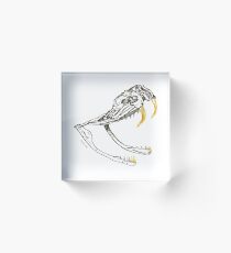 Diamondback Snake Skull mit Gold Grillz Acrylblock