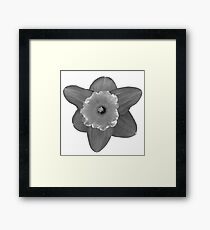 Daffodil in Black and White Framed Print