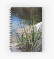 Mannum Falls Spiral Notebook